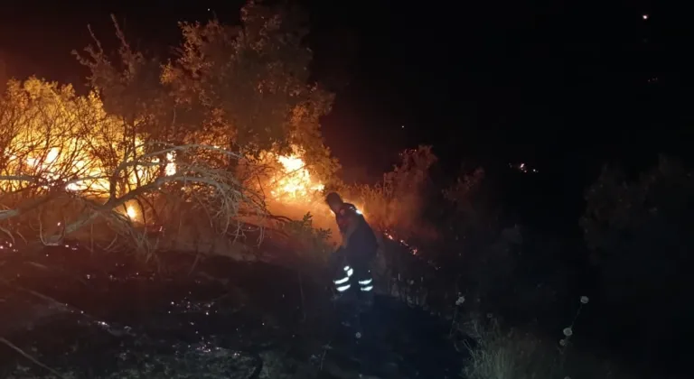 Siirt'te çıkan orman yangını söndürüldü