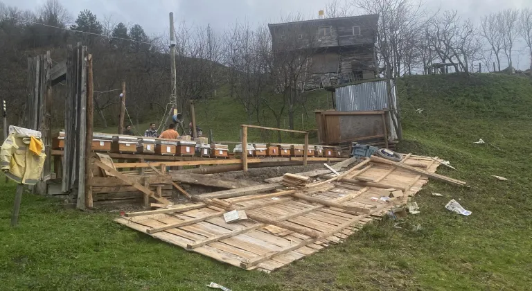 Sinop'ta kovanların yerleştirildiği arılığın rüzgarda uçması güvenlik kamerasında