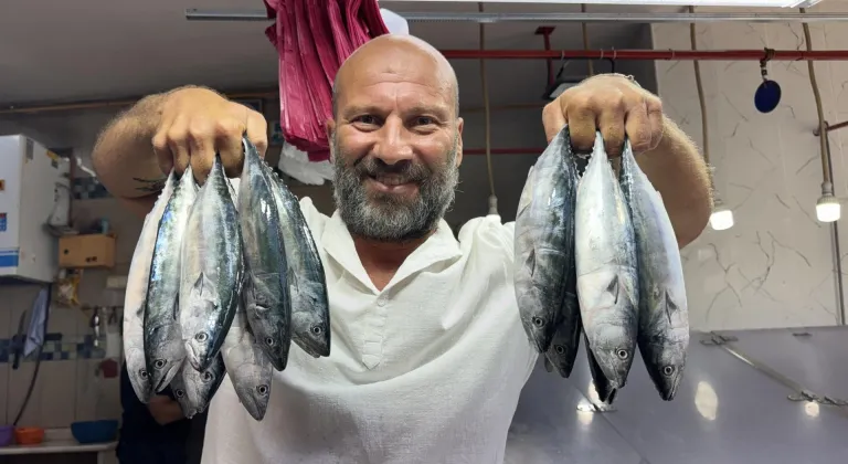 Sinop'ta sezonun ilk palamutları tezgahlardaki yerini aldı