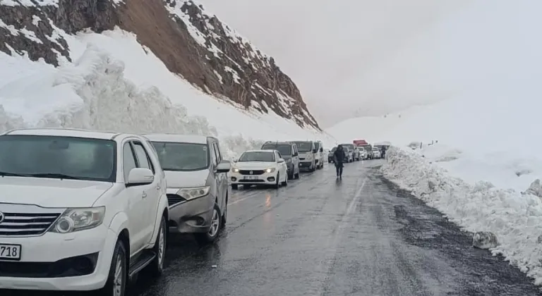 Şırnak-Hakkari kara yoluna çığ düştü