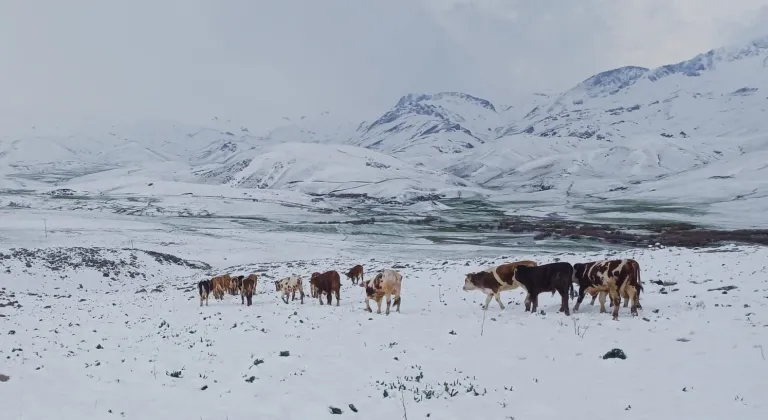 Şırnak'ın yüksek kesimlerinde kar etkili oldu