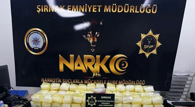 Şırnak'ta çekicinin dorsesine gizlenmiş 142 kilogram sentetik uyuşturucu ele geçirildi