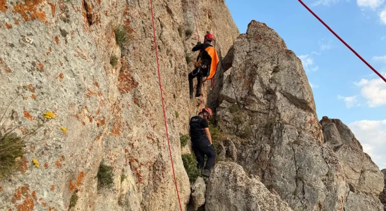 Şırnak'ta kayalıklarda mahsur kalan keçileri AFAD ekipleri kurtardı