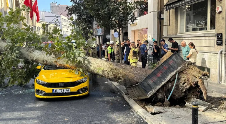 Şişli'de üzerine ağaç devrilen taksi ve otomobilde hasar oluştu