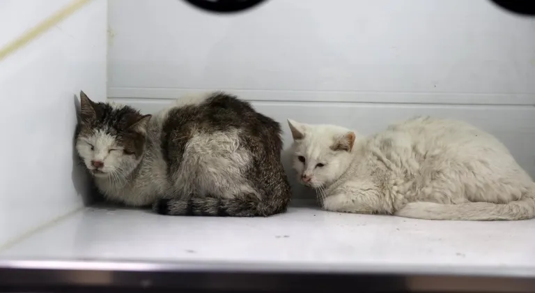 Sivas'ta iki katlı evde çıkan yangın itfaiye ekiplerince söndürüldü