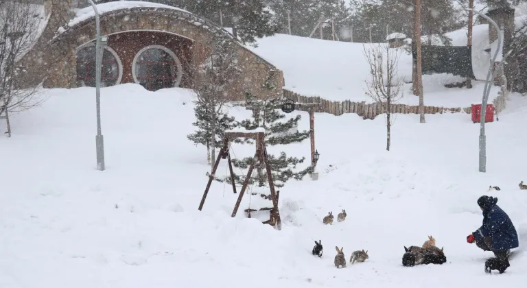 Sivas'ta kar yağışı ve soğuk hava etkili oluyor