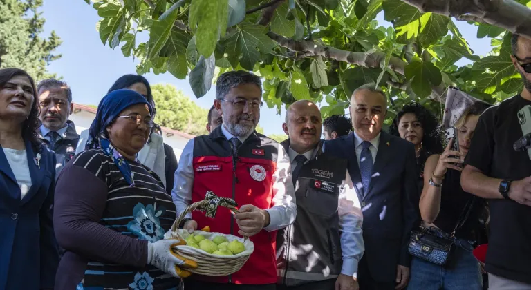Tarım ve Orman Bakanı Yumaklı, Aydın'da incir hasadında konuştu: