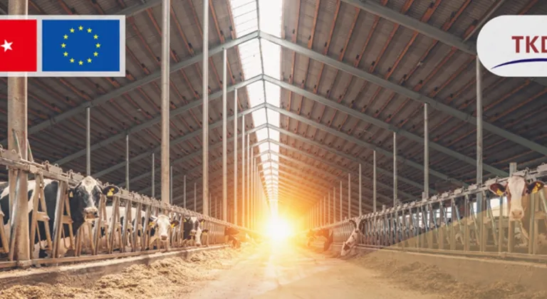 Tarımda, 214 projeye 1,7 milyar lira hibe verilecek