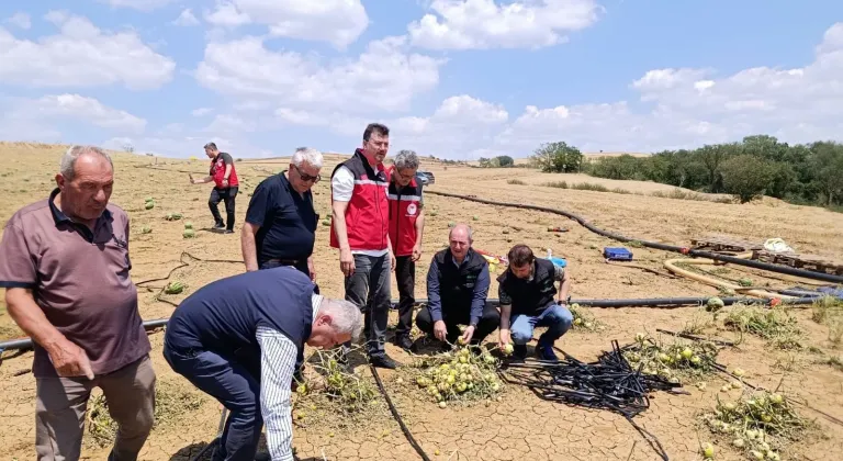 TARSİM Genel Müdürü Engürülü, Tekirdağ'da doludan zarar gören tarım alanlarını inceledi