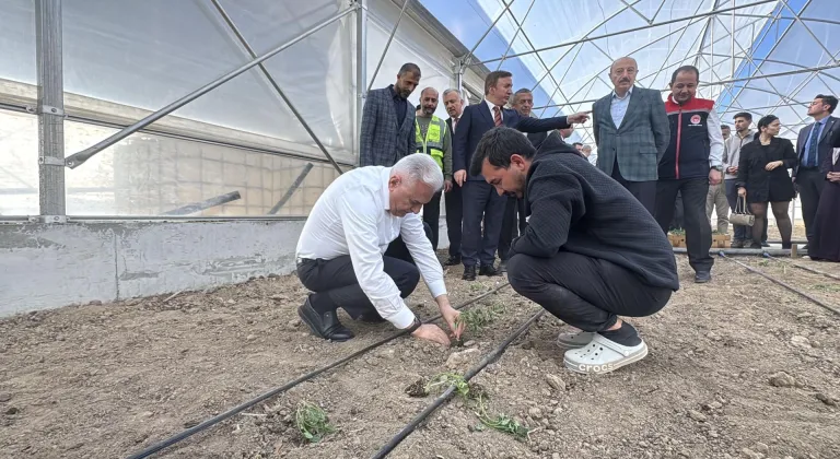 TDT Aksakallar Konseyi Başkanı Yıldırım, Erzincan'daki Toplu Sera Bölgesi'nde incelemelerde bulundu