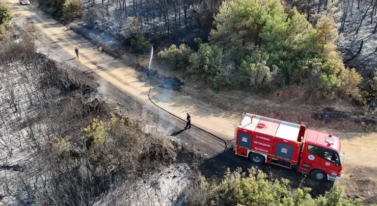 Tekirdağ'da çıkan orman yangını söndürüldü