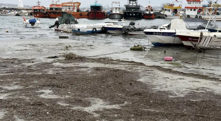 Tekirdağ'da Marmaraereğlisi sahilinde deniz suyu çekildi