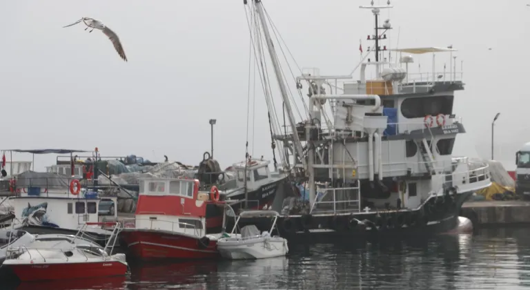 Tekirdağlı balıkçılar sis nedeniyle 2 gündür denize açılamıyor