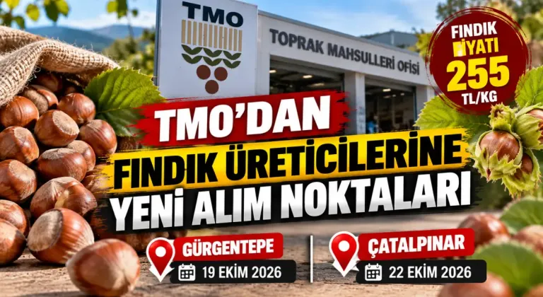 TMO, Ordu'da iki yeni noktada fındık alımına başladı