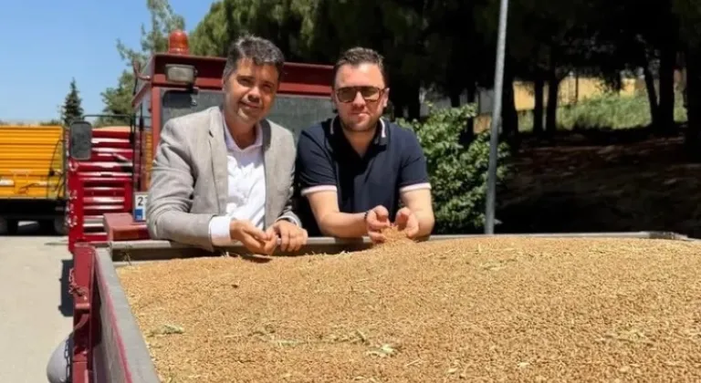 TMO’dan Rekor Buğday Alımı: Depolar Doldu









