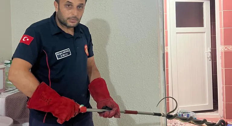 Tokat'ta eve giren yılan itfaiye ekipleri tarafından yakalandı