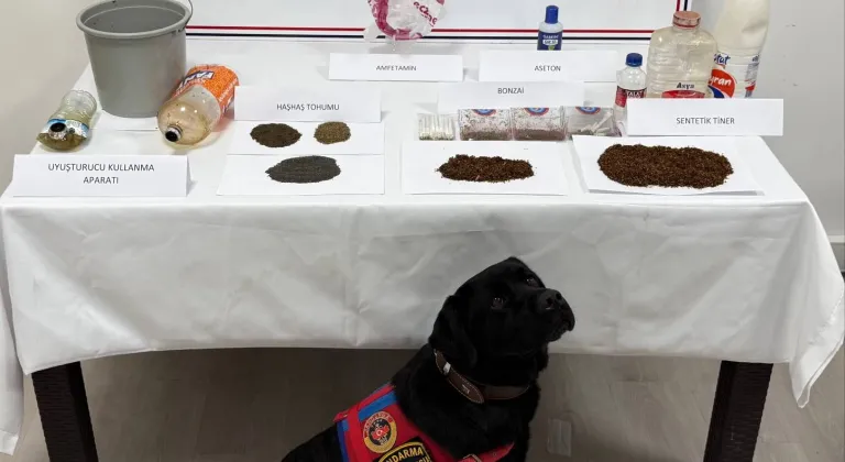 Tokat'ta uyuşturucu operasyonunda 8 zanlı yakalandı
