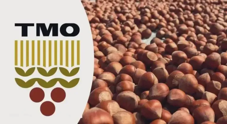 Toprak Mahsulleri Ofisi (TMO) fındık üreticisine yardımcı olacak