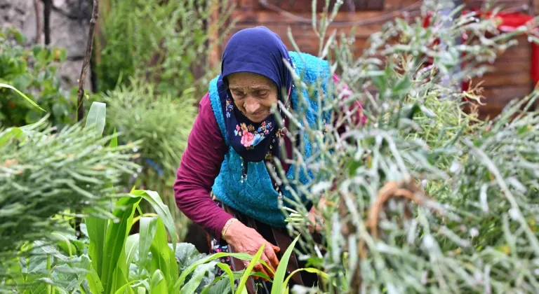 Trabzonlu 89 yaşındaki Selfinaz nine el emeği ürünleriyle gönülleri fethediyor