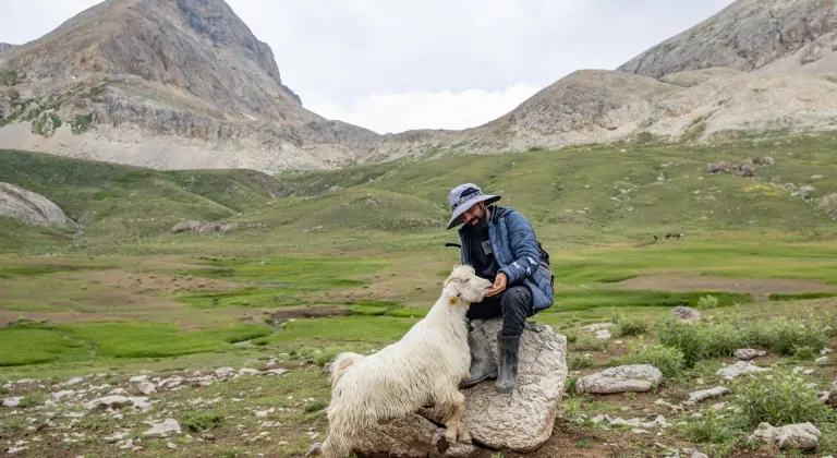 Tunceli'de 3 bin metre rakımda "peynir" mesaisi