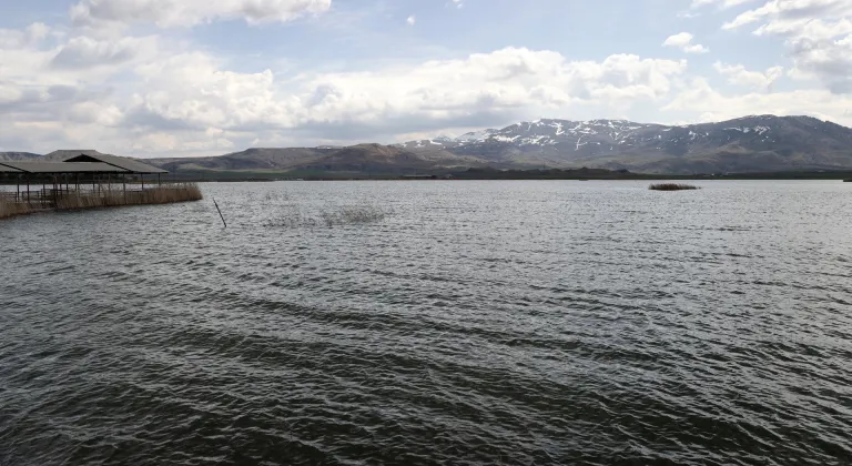 Ulaş Gölü'nde doluluk oranı zirveye ulaştı