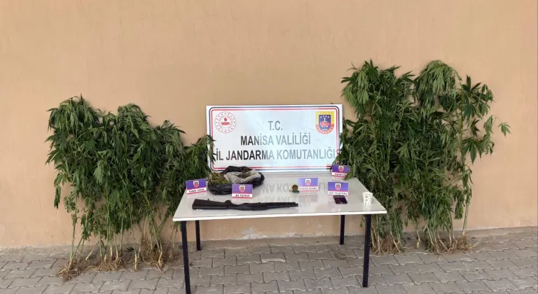 Uyuşturucu üretimi için ormanda kenevir yetiştirdiği fotokapanla belirlenen şüpheli tutuklandı