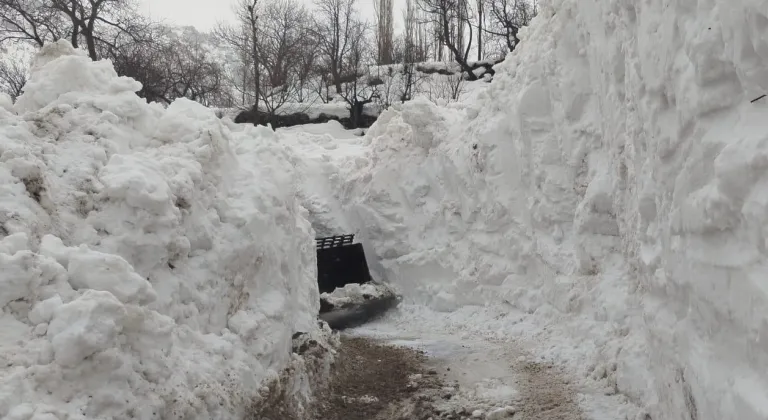 Van, Hakkari, Bitlis ve Muş'ta 498 yerleşim yerine ulaşım sağlanamıyor