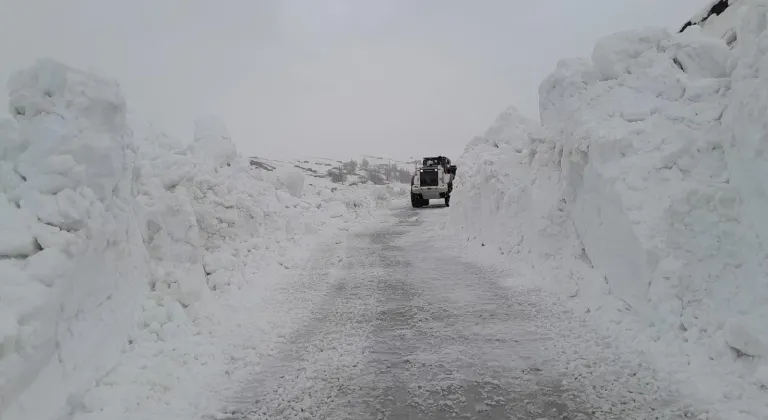 Van, Hakkari ve Bitlis'te kar ulaşımı aksattı
