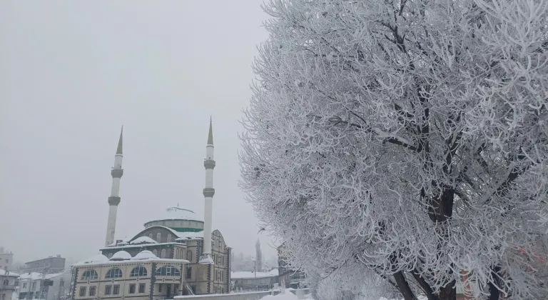 Van ve çevre illerde kar nedeniyle 25 yerleşim yerine ulaşılamıyor