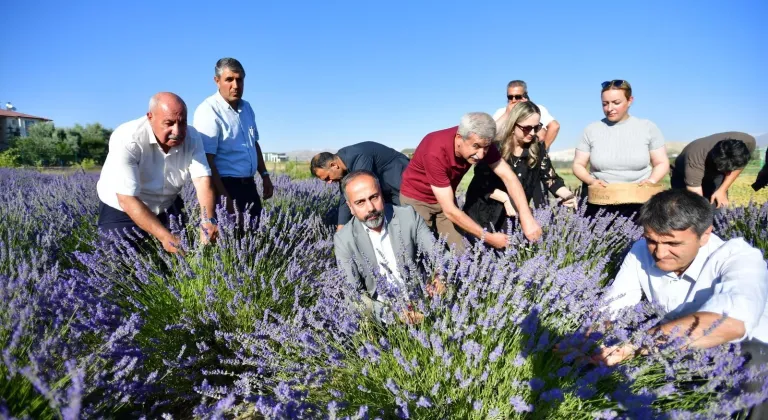 Van'da "7. Tıbbi ve Aromatik Bitkiler Hasat Bayramı" gerçekleştirildi