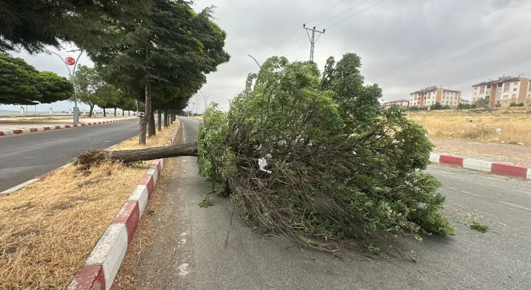 Van'da şiddetli rüzgar etkili oldu