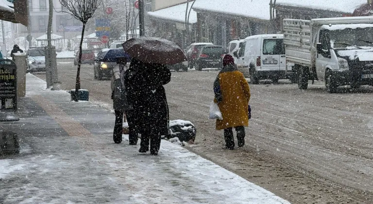 Van'ın Başkale ilçesinde kar etkili oldu