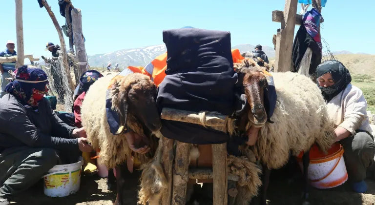 Yazın ortasında soba yakarak ısınıyorlar