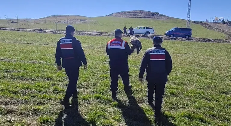 Yozgat'ta yaralı bulunan puhu tedaviye alındı