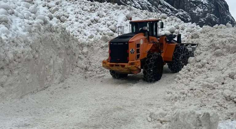Yüksekova-Dağlıca kara yolu çığ nedeniyle kapandı