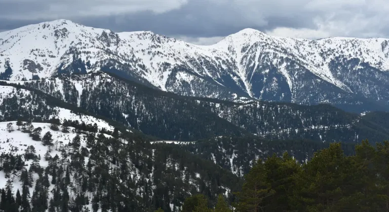 Zigana Dağı safari yapmak isteyenleri ağırlıyor