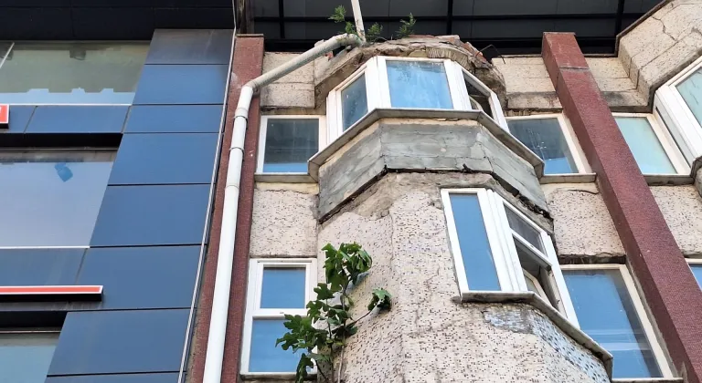 Zonguldak'ta bir binanın 4. katının duvarında yetişen incir ağacının boyu 2 metreye yaklaştı