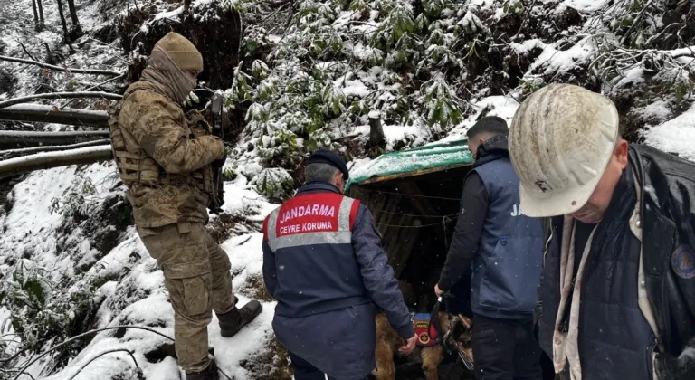 Zonguldak'ta ruhsatsız işletilen 10 maden ocağı imha edildi