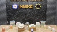 Haber Resmi
