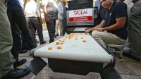 Haber Resmi